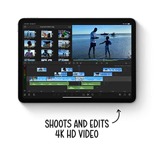 2020 Apple 10.9-Inch iPad Air (4th Generation) with Wi-Fi ? 256GB ? Space Gray ? MYFT2LL/A