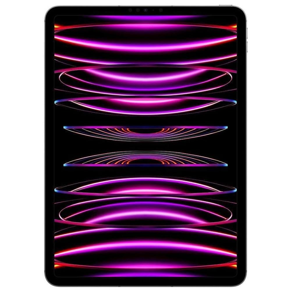 2022 Apple iPad Pro 11" - Wi-Fi+Cell - 512GB - Space Gray - MP593LL/A